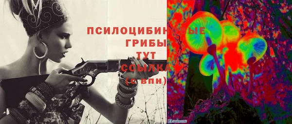 Альфа ПВП Зеленокумск