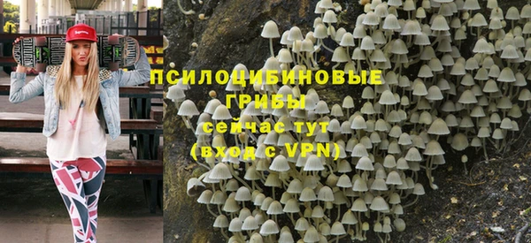 гидропоника Зеленодольск
